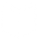 Book design