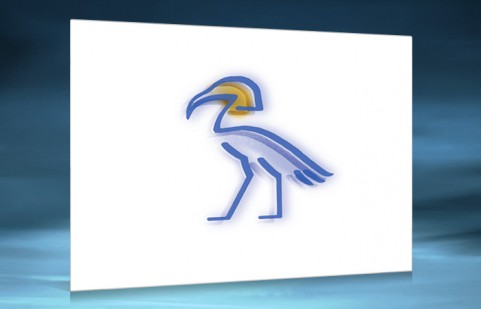 Ibis